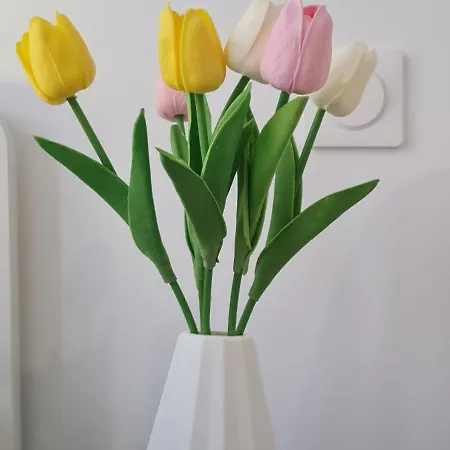 Lp - Planet 아파트